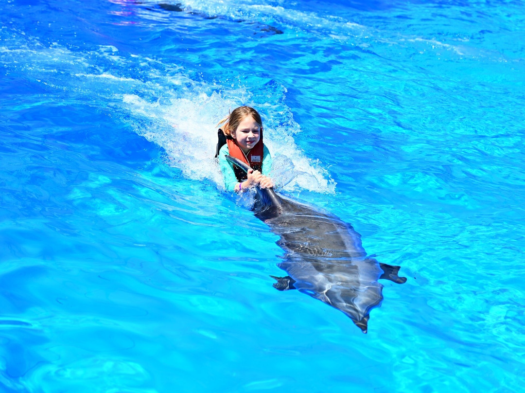 The Land Of Legends Theme Park-Kadriye必去景点
