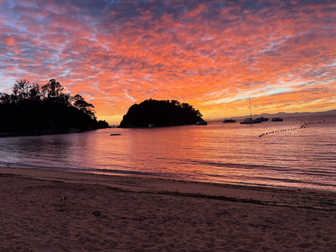 ZigZag Tours NZ-新普利默斯必去景点