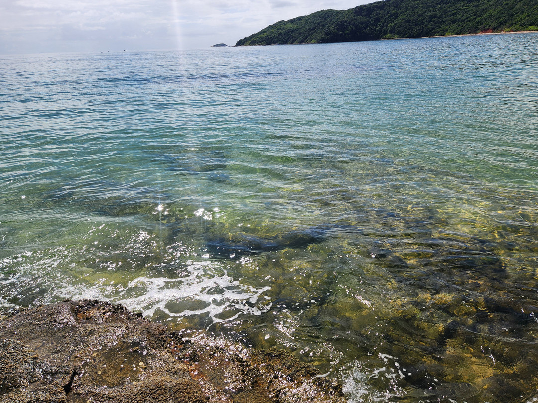 Praia da Tartaruga-布基亚斯必去景点
