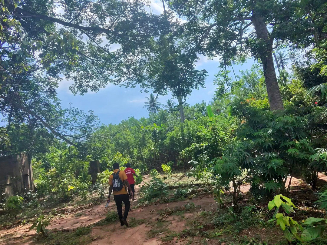 Joyful To Zanzibar-Kizimkazi Dimbani必去景点