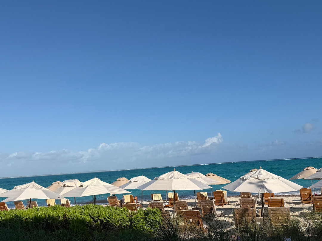 Alexandra Resort - All-inclusive主图