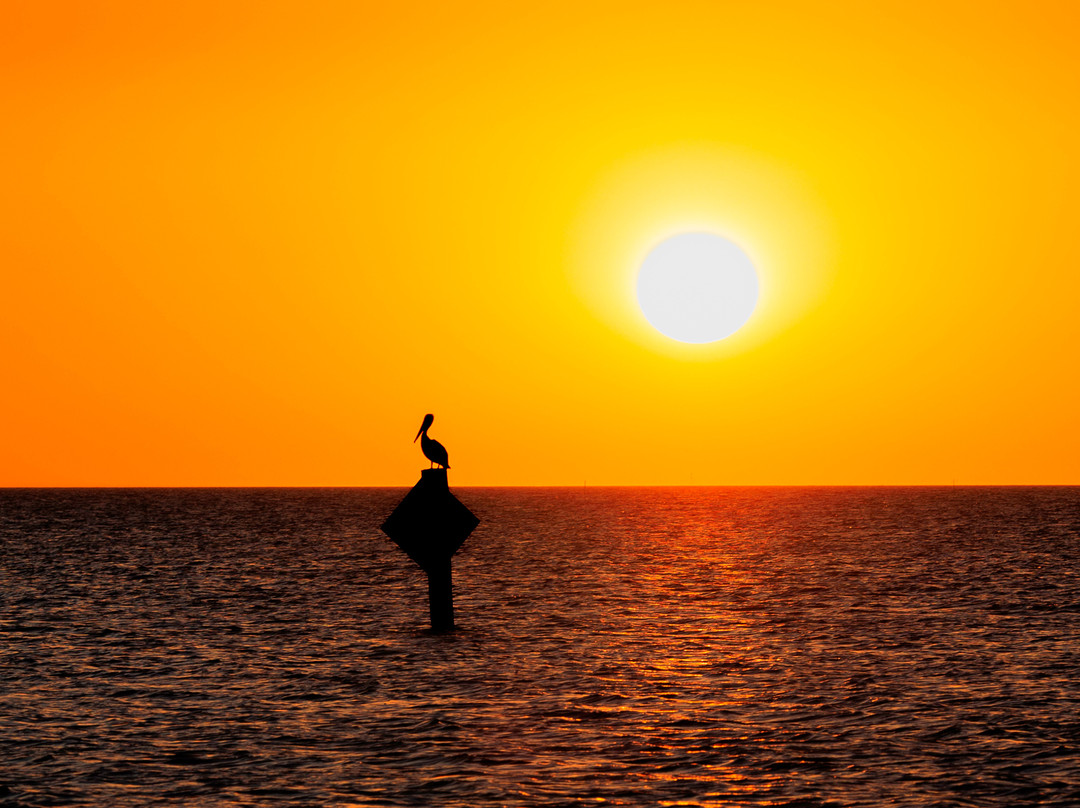 Cypremort Point State Park-Cypremort Point必去景点