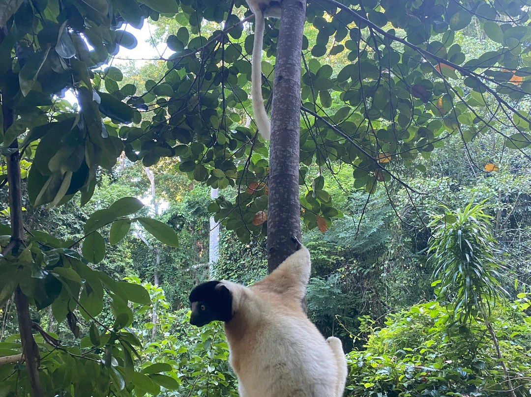 VOI Amarina Resort主图