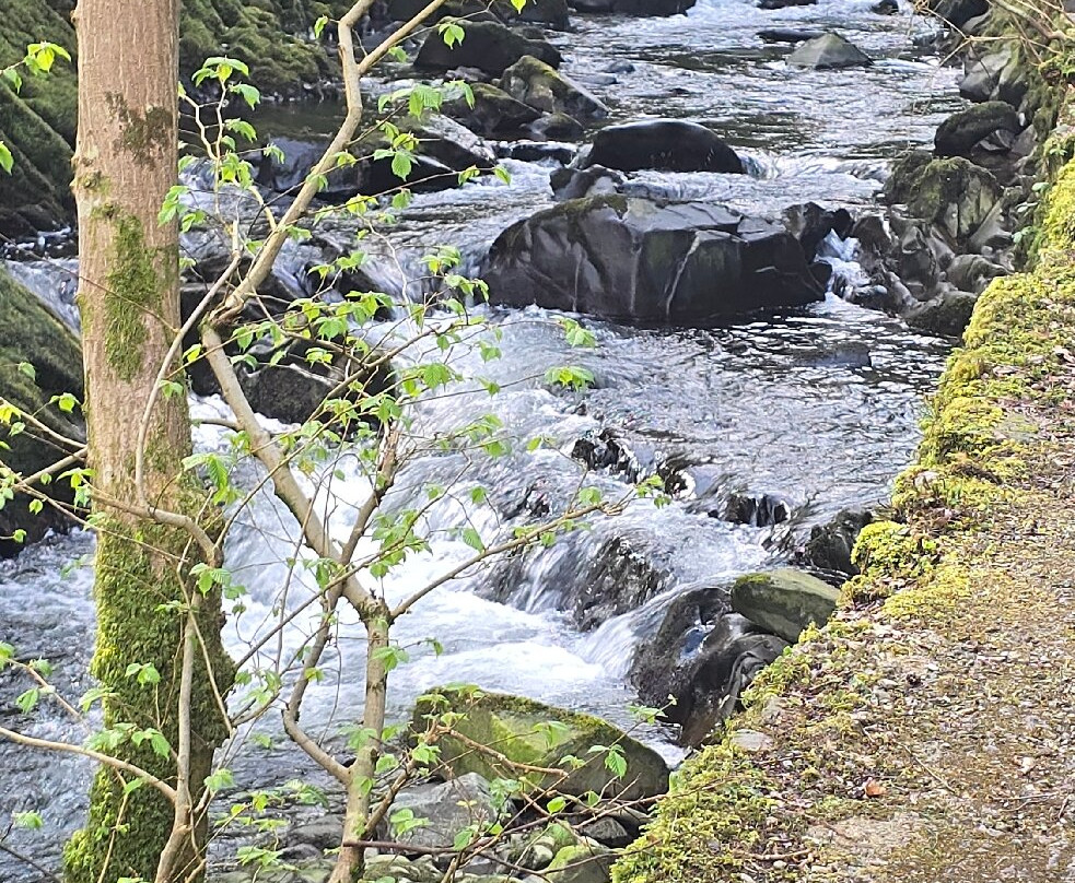 Ceunant Mawr Waterfall-Llanberis必去景点