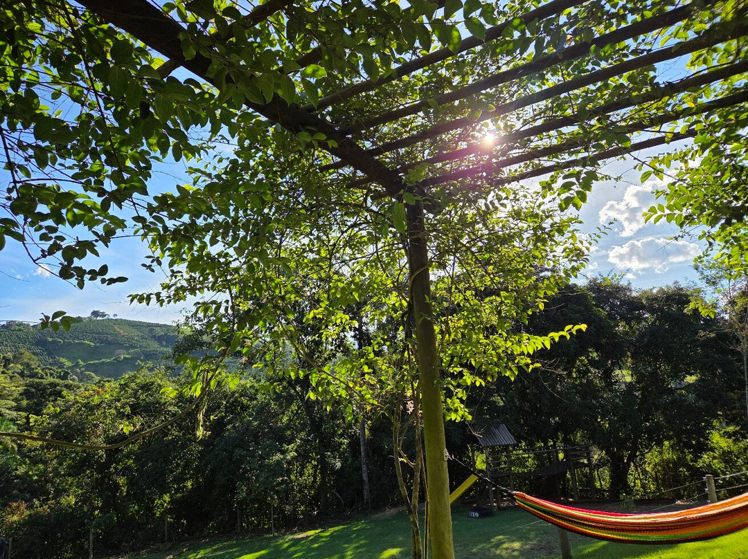 Parque Natural Terra das Cachoeiras-Bueno Brandao必去景点