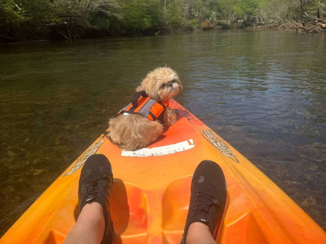 Blue Ridge Mountain Kayaking-Mineral Bluff必去景点
