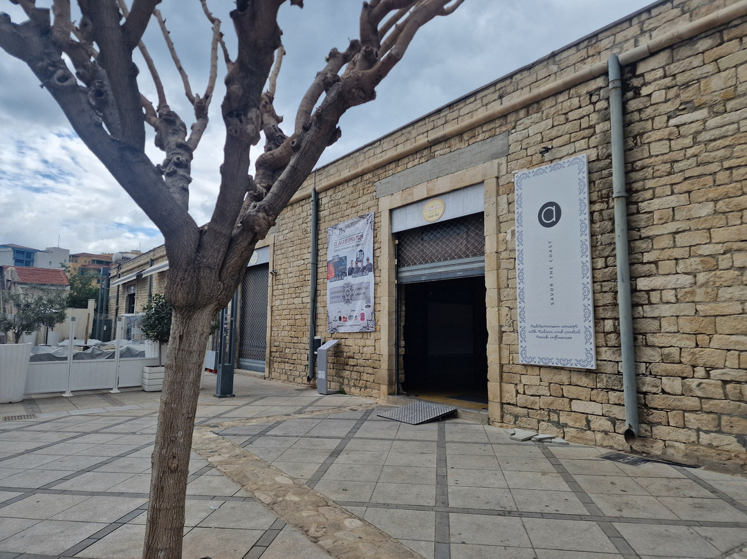 Museum Of Industrial Pharmacy-利马索尔必去景点