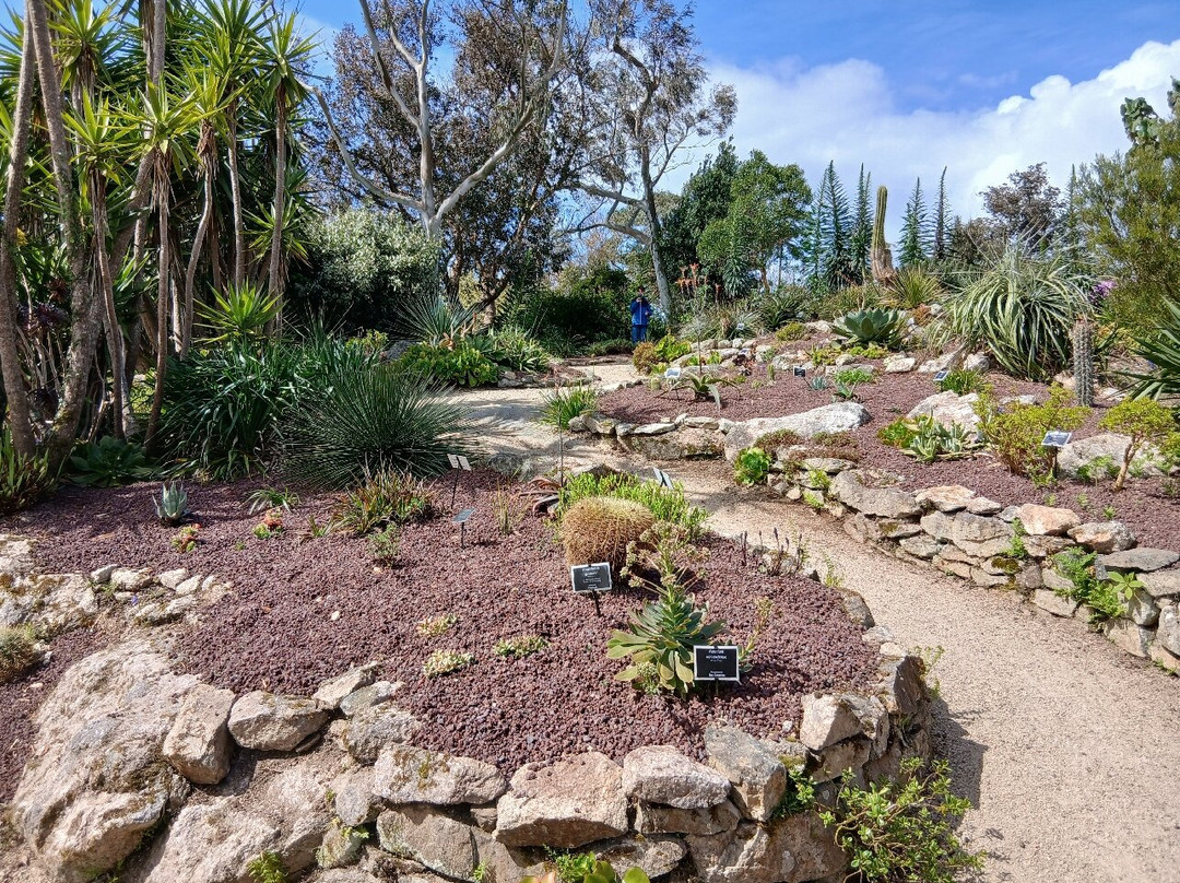 Jardin Exotique et Botanique de Roscoff-罗斯科夫必去景点