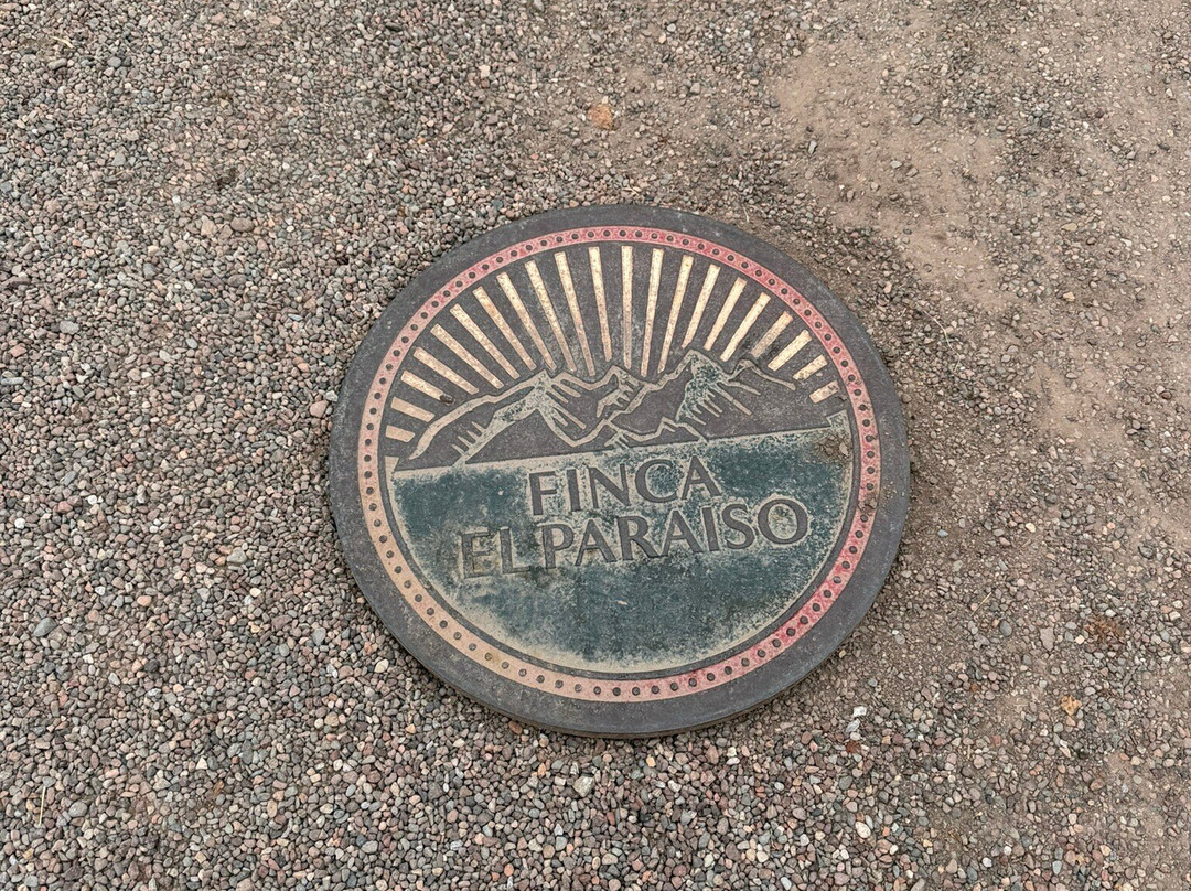 Finca El Paraíso - Bodega Luigi Bosca-Maipu必去景点