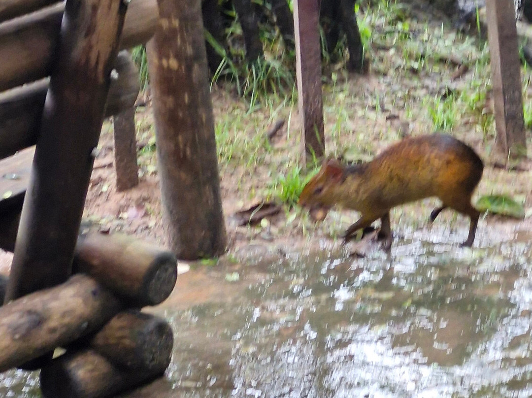 Parque Arvorar-Aquiraz必去景点