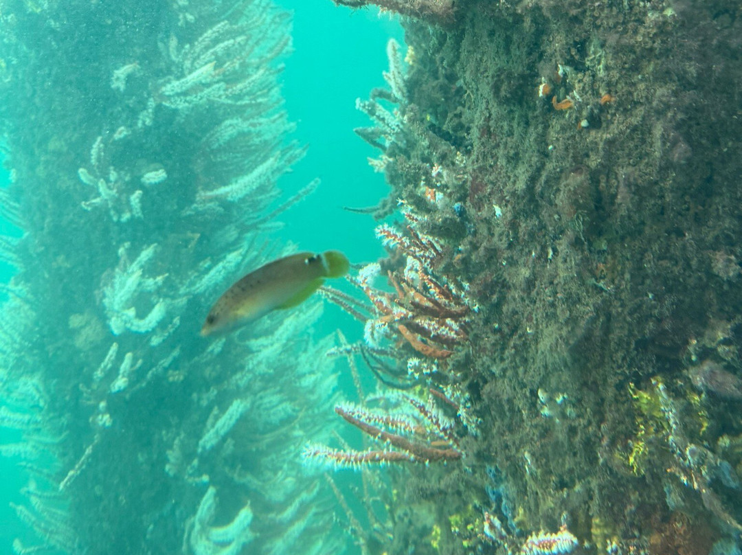 Busselton Jetty-巴瑟尔顿必去景点