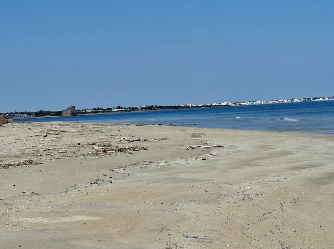 Torre Rinalda酒店住宿-Spiaggiabella Beach Hotel del Silenzio