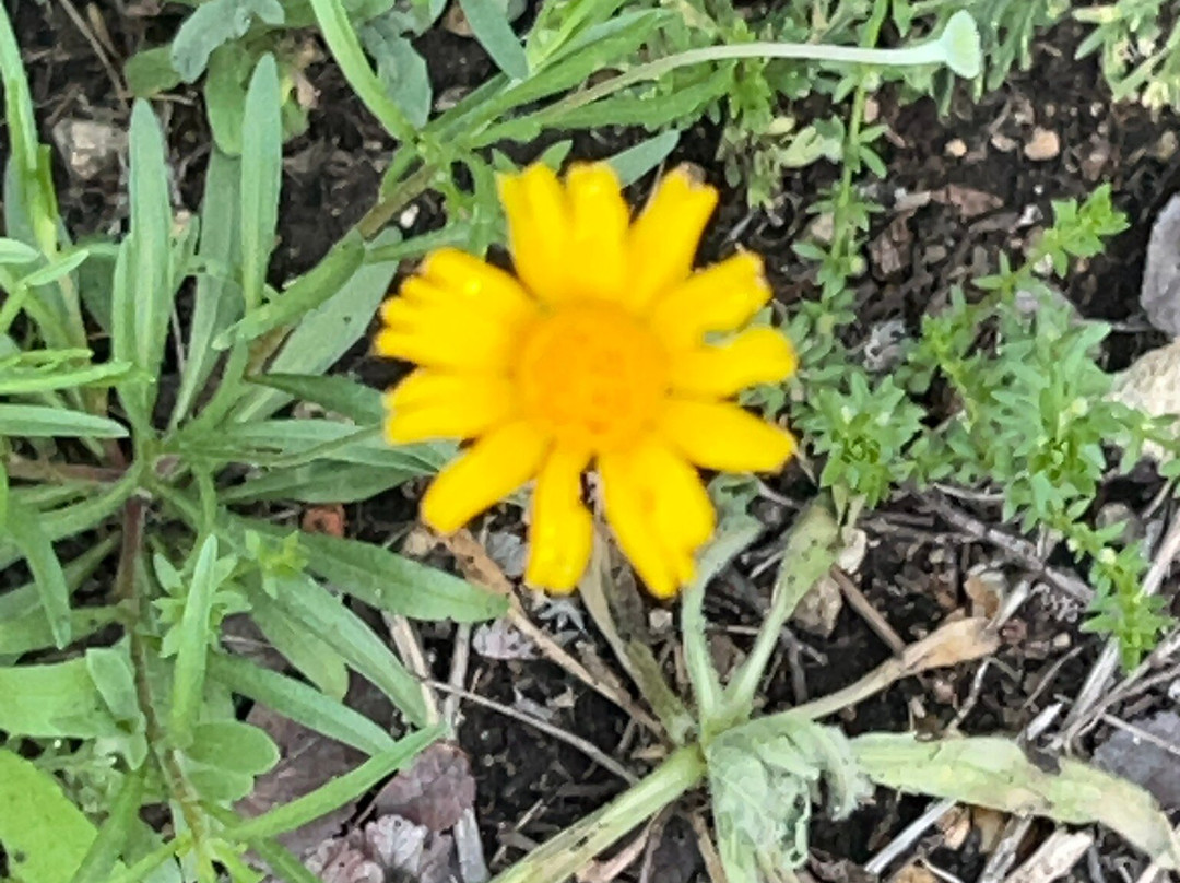 Lakeline Park-斯德伯克必去景点