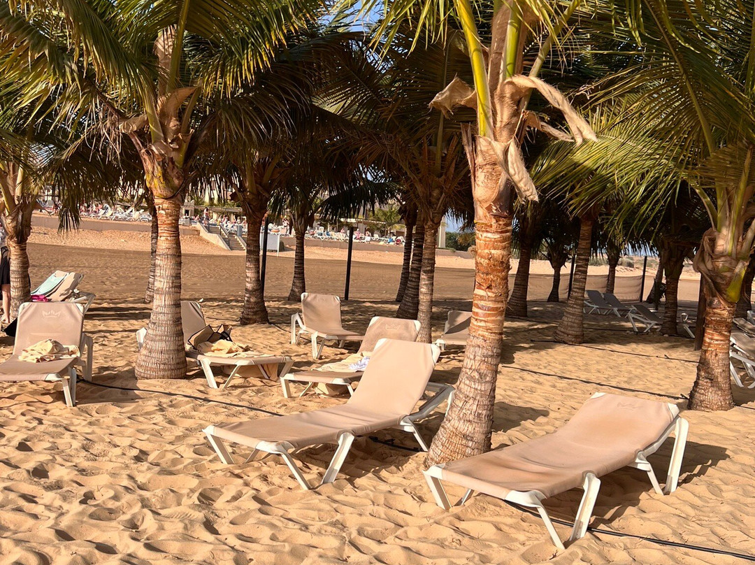 路图雅瑞酒店 - 全包式主图