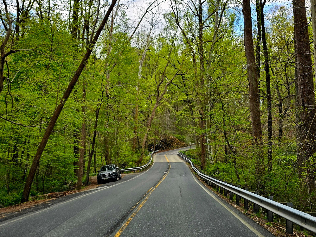 Pleasantville Road Bridge