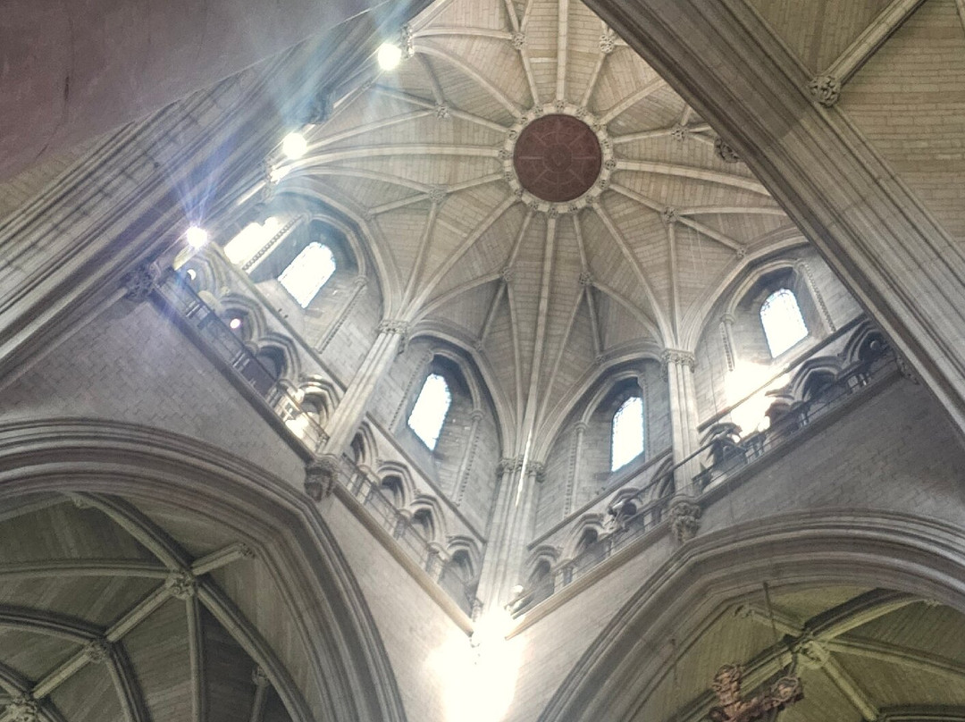 Catholic Cathedral of St John the Baptist-诺威奇必去景点