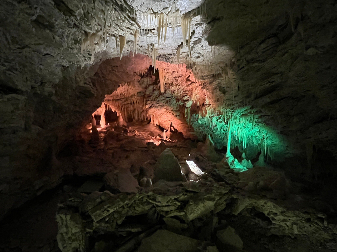 Kaikōura Cave Tours-Kaikoura必去景点