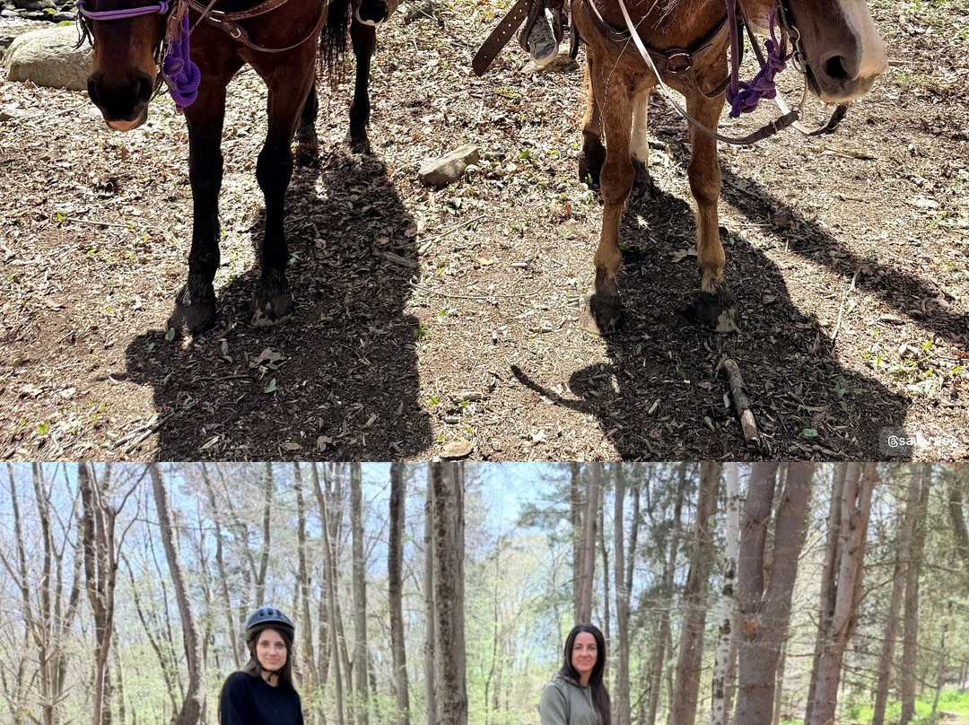 Westchester Trail Rides-Croton on Hudson必去景点