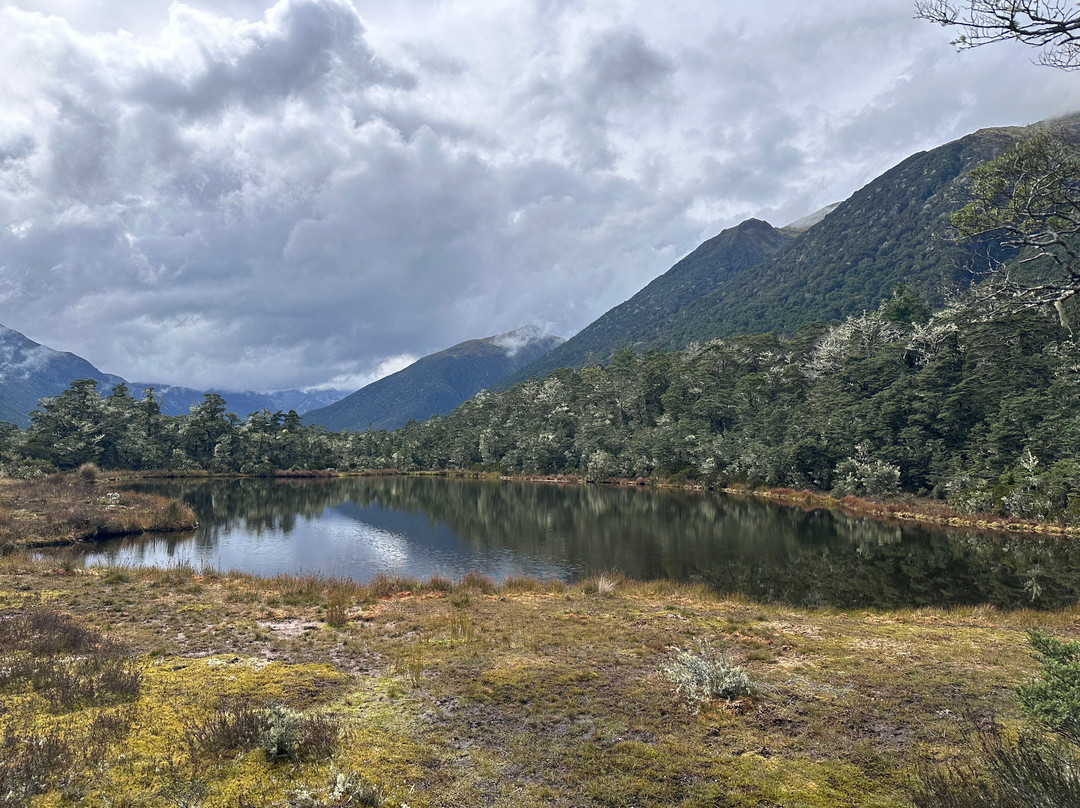 Alpine Nature Walk-Springs Junction必去景点