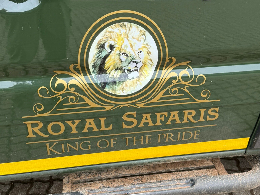 Royal Safaris-库马堤港必去景点