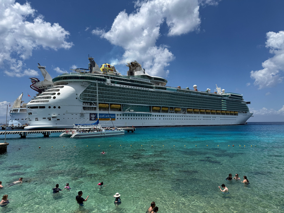 Tequila a Go Go Cozumel