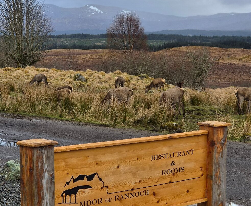 Moor of Rannoch Restaurant & Rooms主图