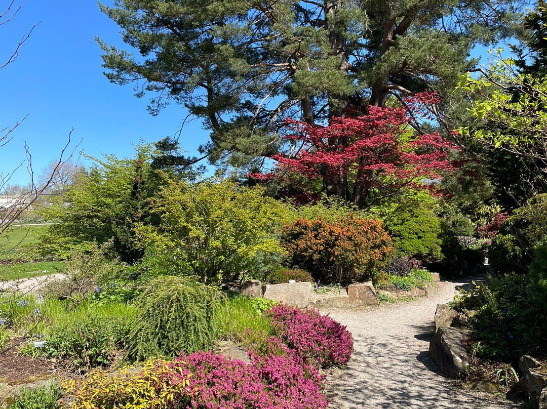RHS Garden Harlow Carr-哈罗盖特必去景点