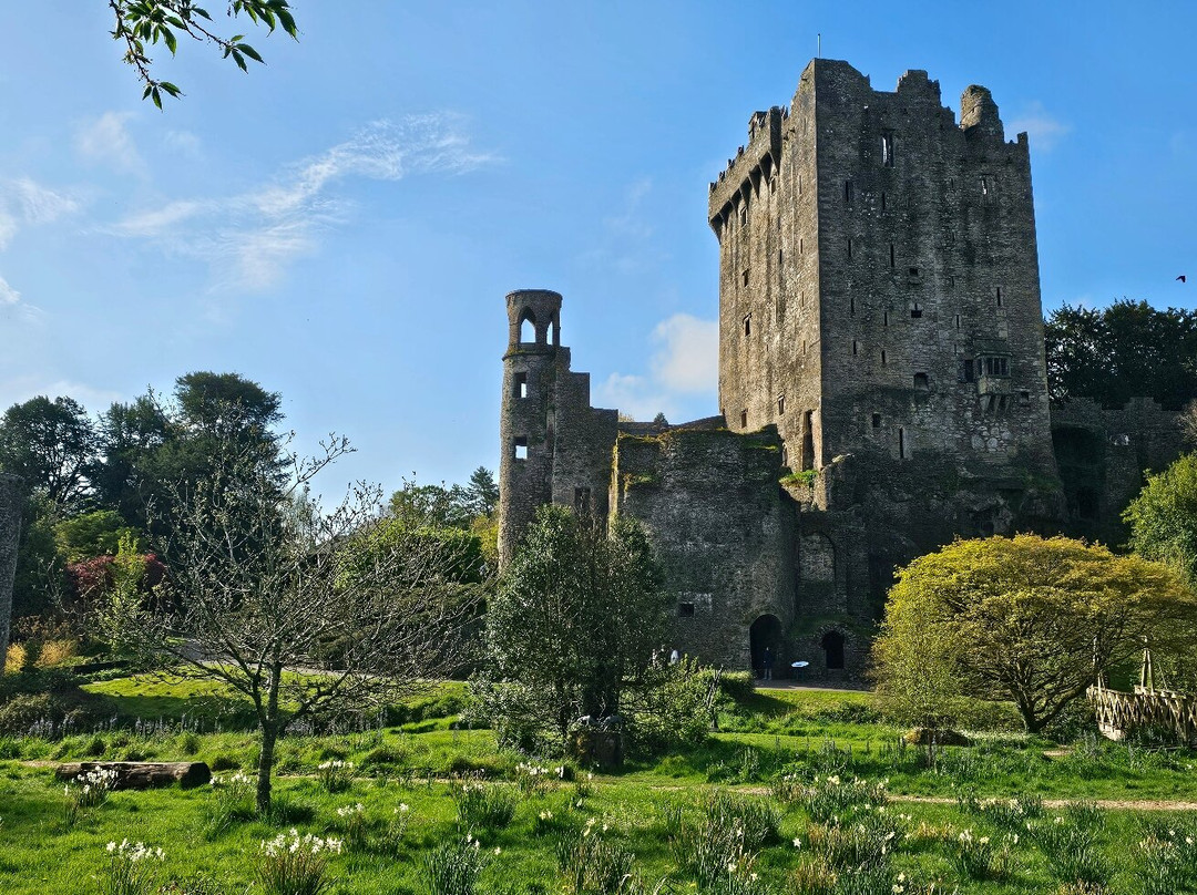 布拉尼城堡及花园-Blarney必去景点