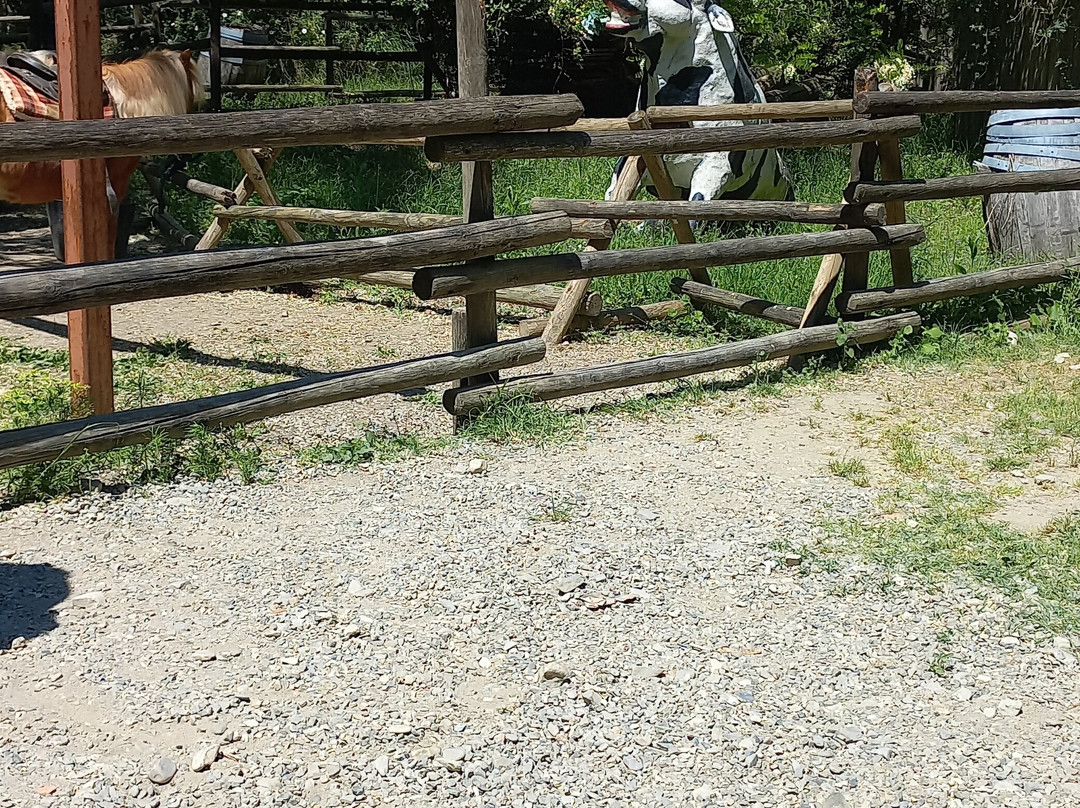 Cowboyland-沃盖拉必去景点
