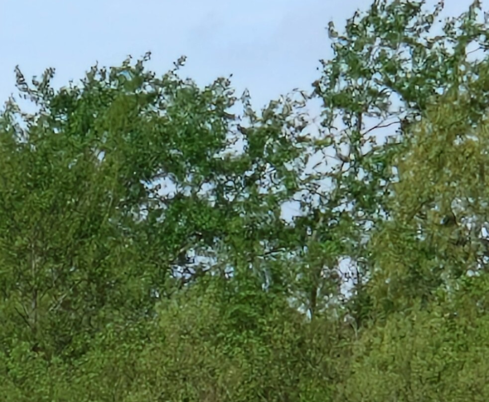 Sence Valley Country Park-Ibstock必去景点