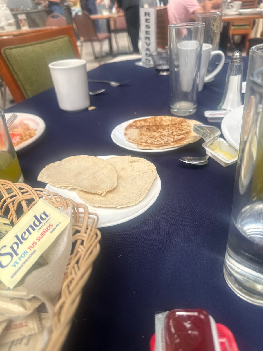 德利西亚斯大酒店-旅行者