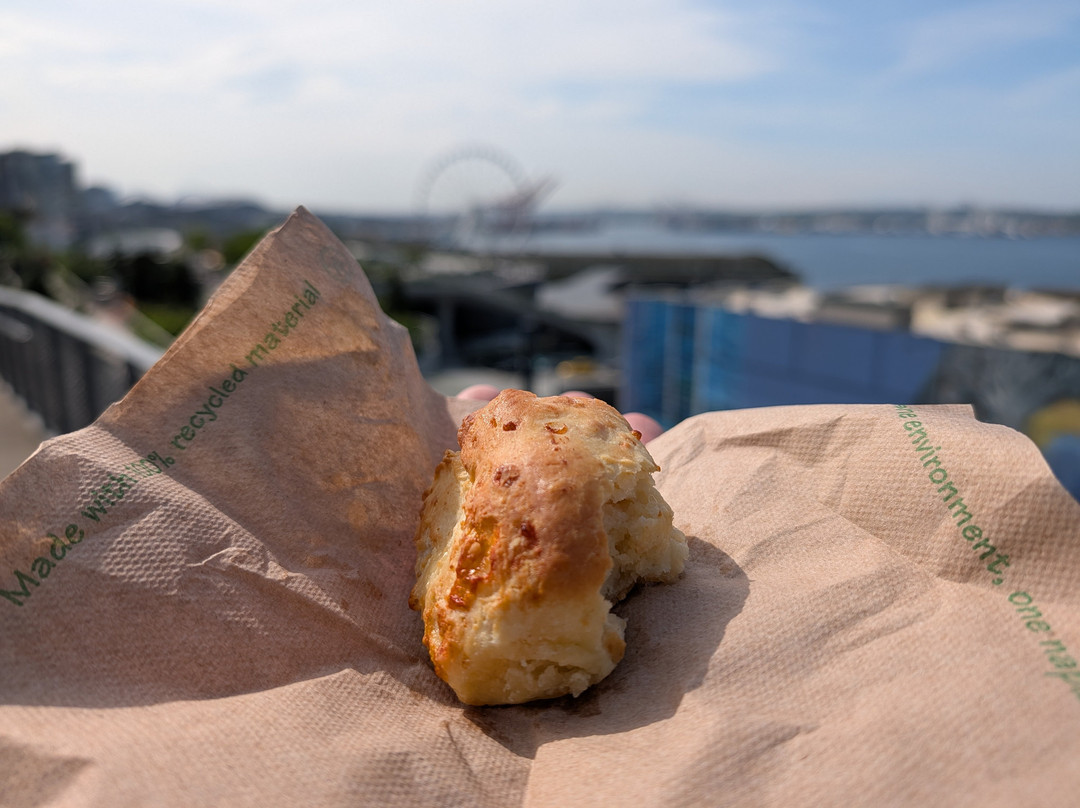 Show Me Seattle Tours-西雅图必去景点