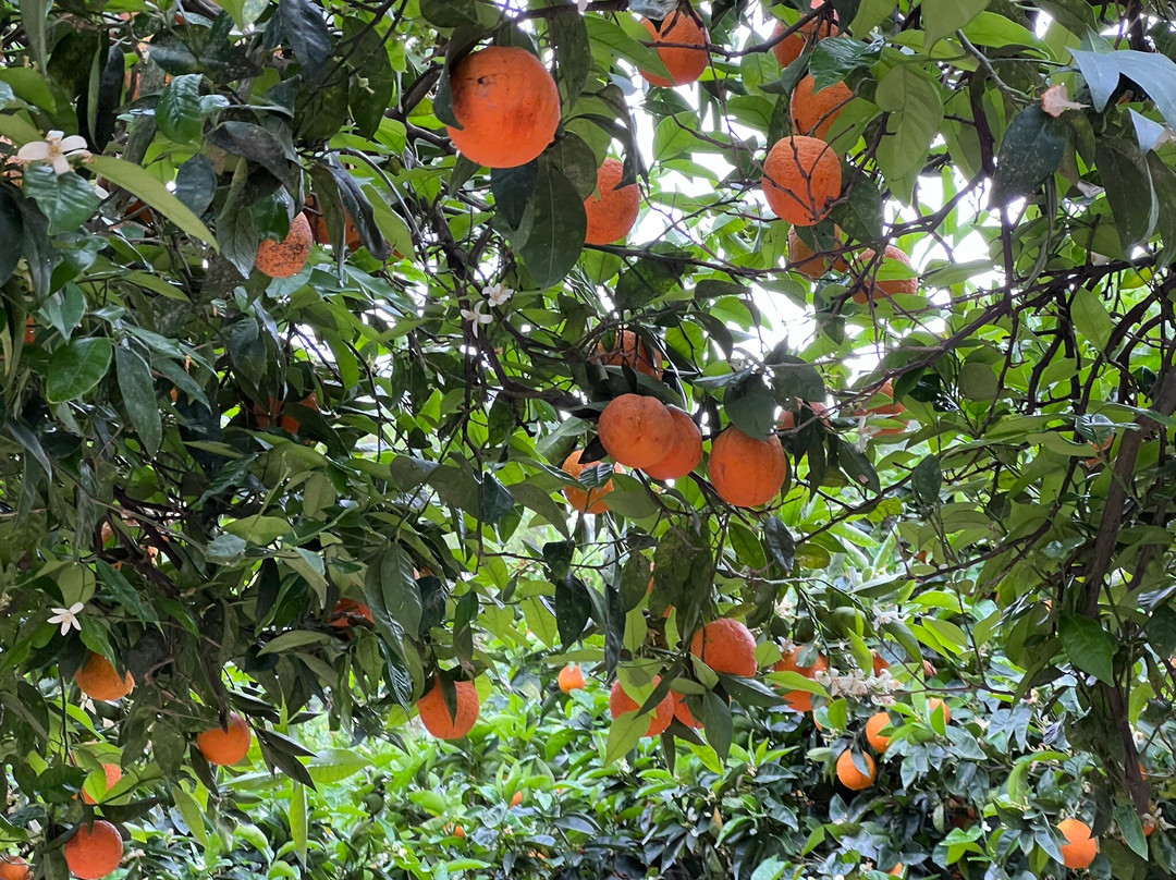 Botanical Garden Of Crete-Fournes必去景点