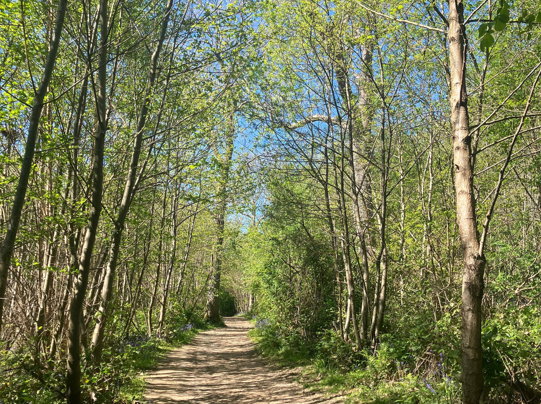 Bewl Water-Lamberhurst必去景点