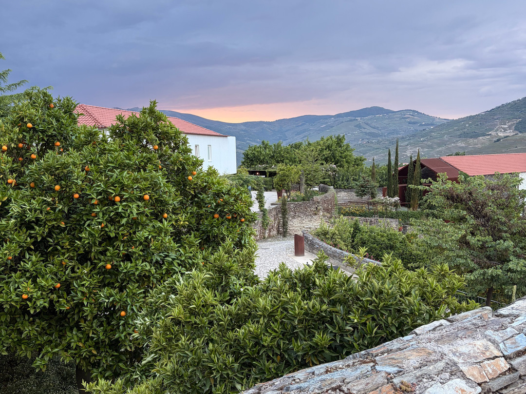 LAB Tours - Douro Valley Experiences-波尔图必去景点