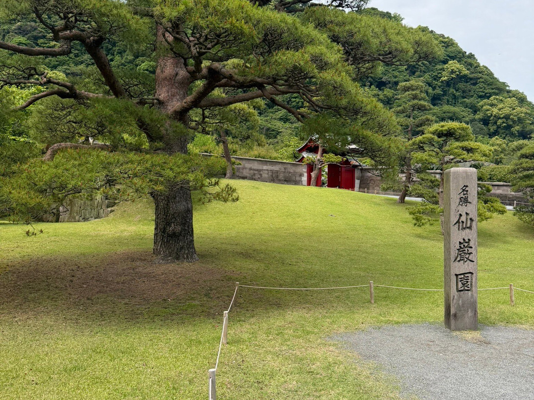 仙岩园-鹿儿岛市必去景点