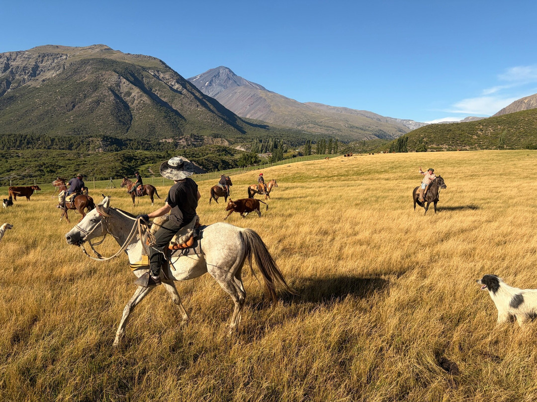 Chile Horse Riding-Panimavida必去景点