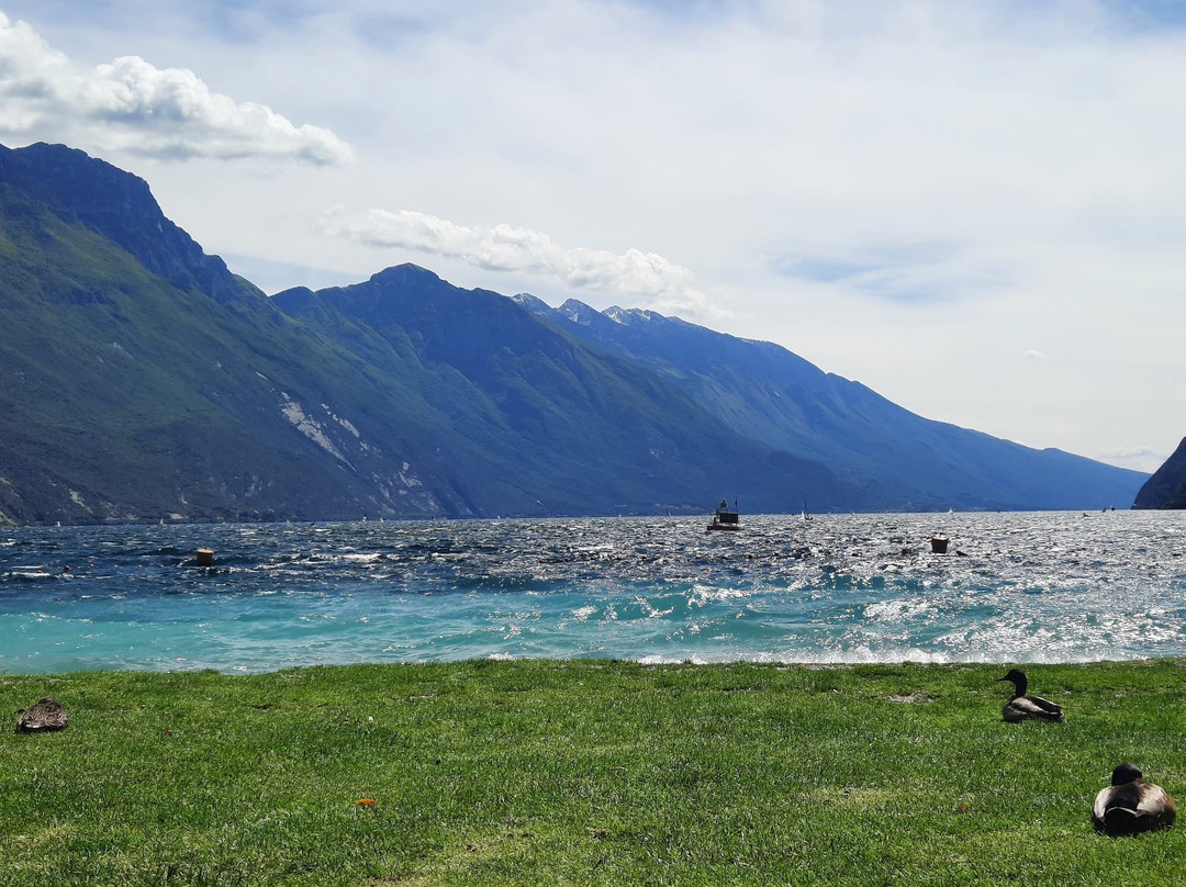 Sabbioni Beach-里瓦德尔加尔达必去景点