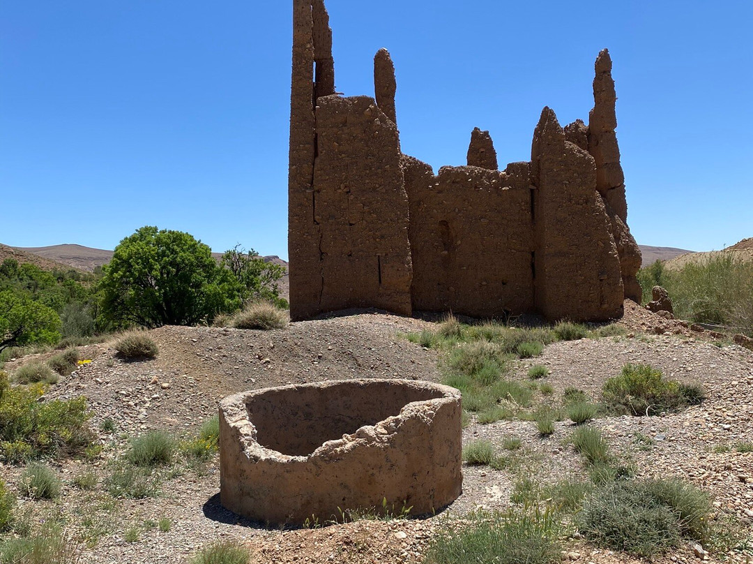 Caravane Renard du Desert-迈哈米德必去景点