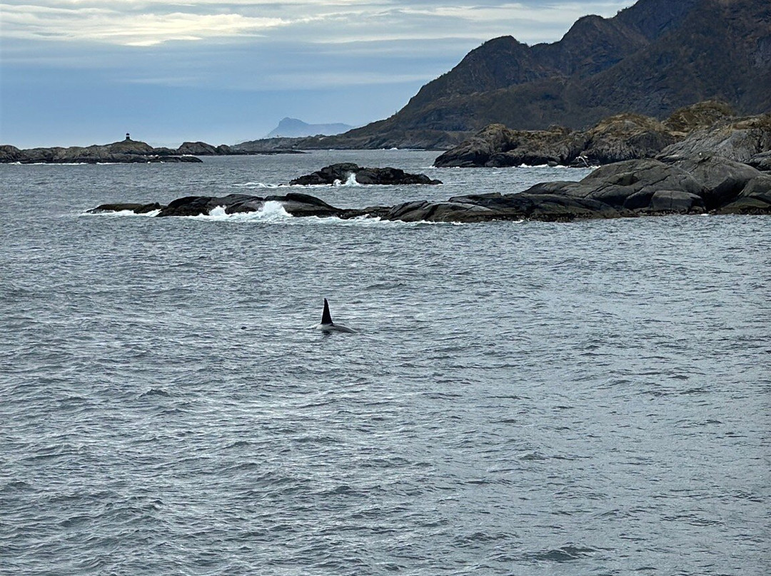 Go2Lofoten-斯沃尔韦尔必去景点