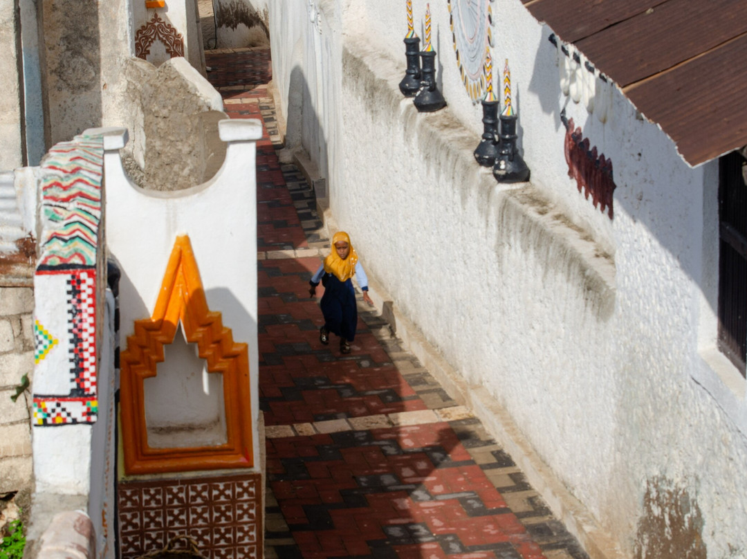 Abdul Harar Tour's-哈勒尔必去景点