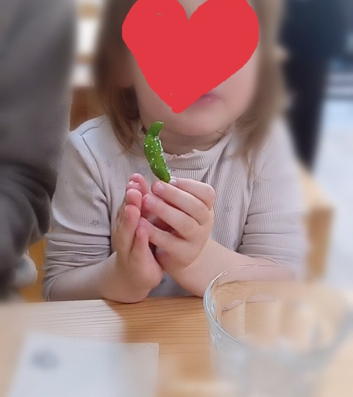 Berry Shokudo