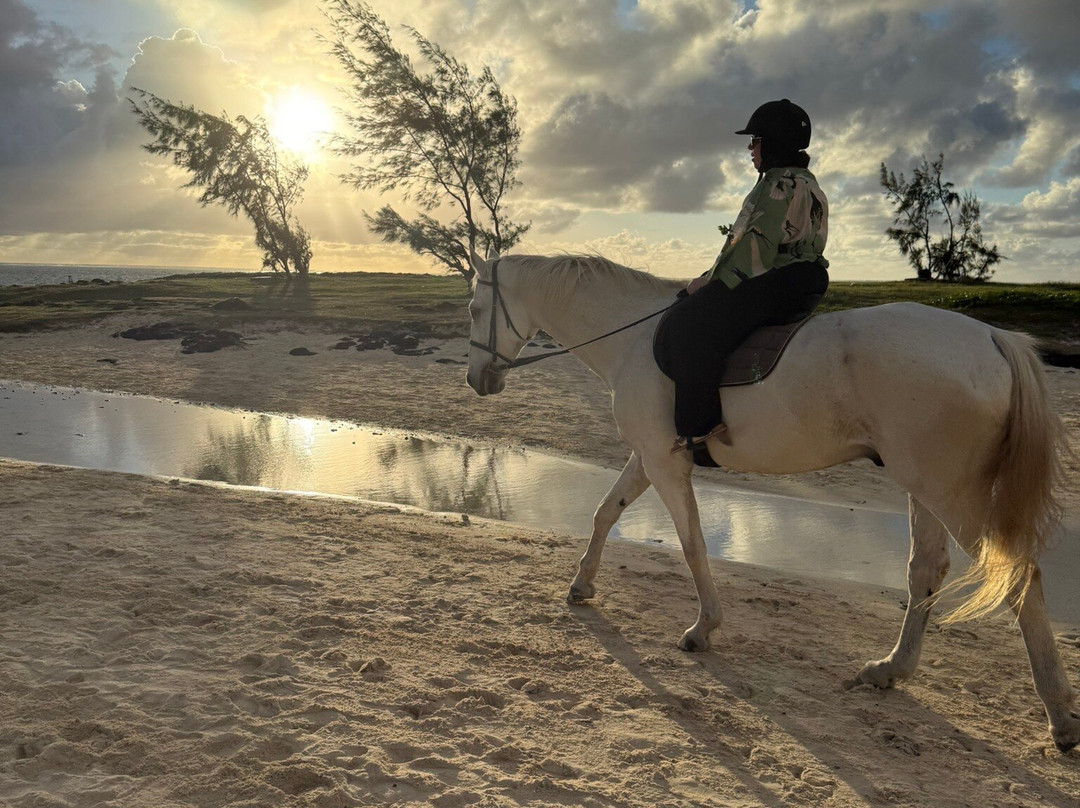 Legasea Stables Mauritius-Quatre Cocos必去景点