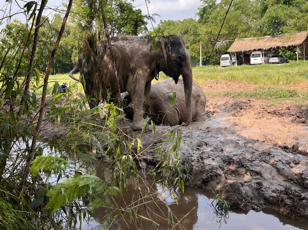 Bangkok Elephant Care Sanctuary-北碧必去景点