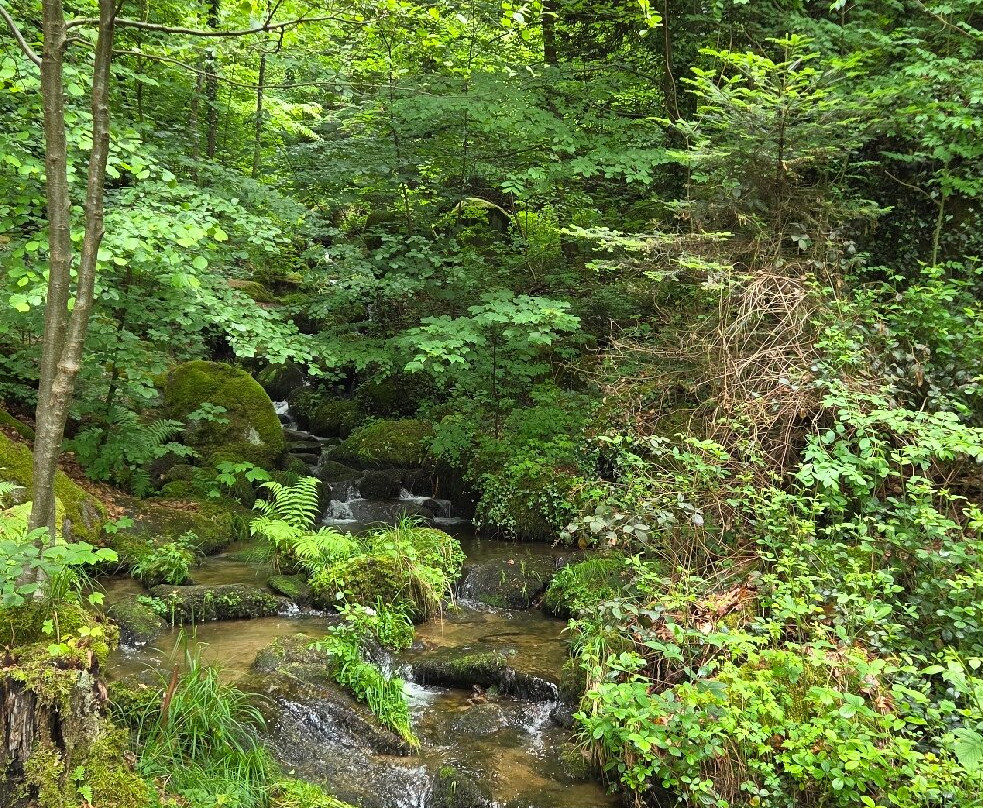 Gaishöll-Wasserfälle-Sasbachwalden必去景点