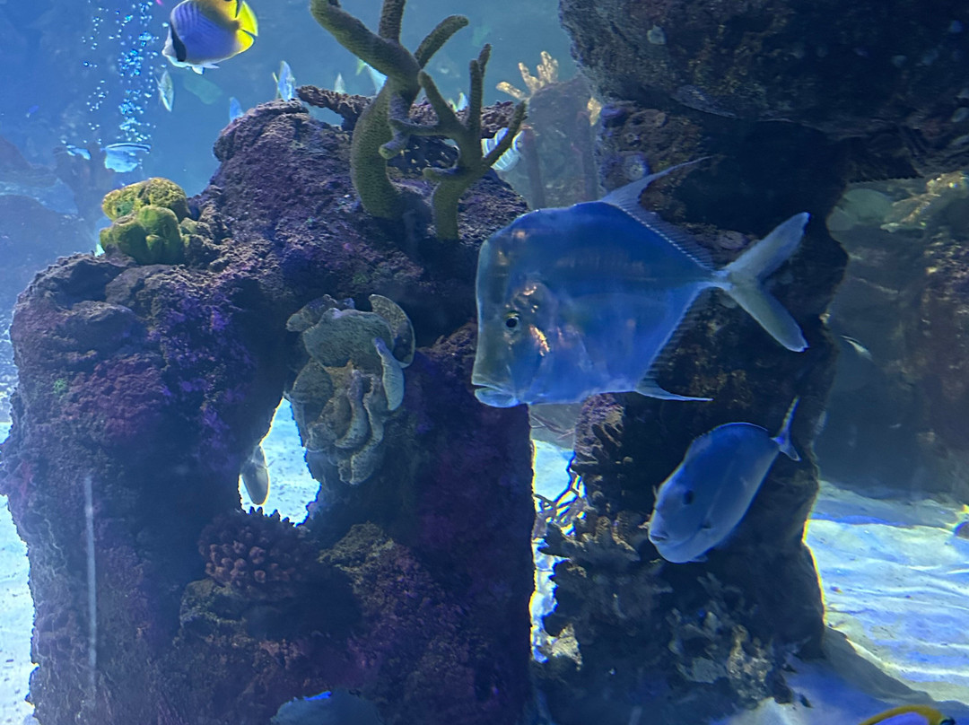 Sea Life Scarborough-斯卡伯勒必去景点