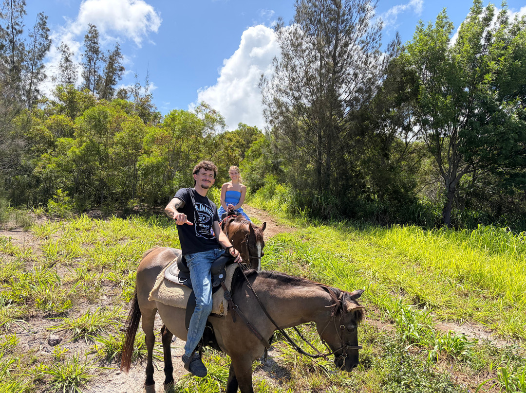 Ironwood Ranch-Napili-Honokowai必去景点