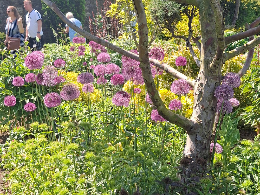 Thornton Hall Gardens-达灵顿必去景点