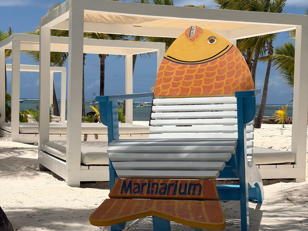 Marinarium-孔卡尔诺必去景点