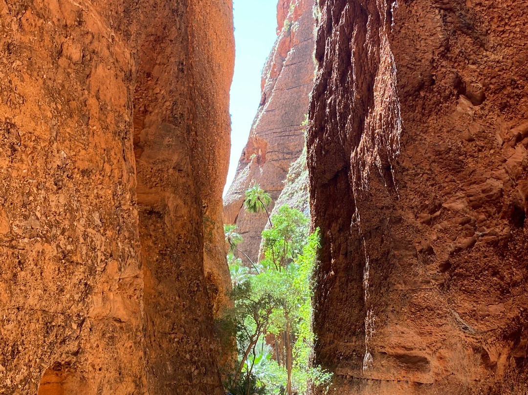 Purnululu National Park-Purnululu National Park必去景点